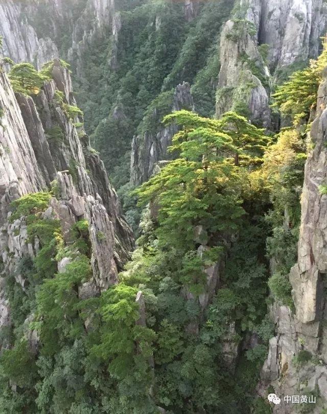 暖心约定！太原杏花岭区志愿者开展关爱老人“窗帘行动”